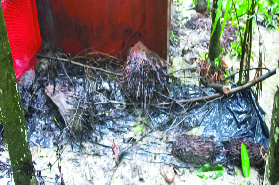 Image of  মোঃ শামীম হাওলাদার